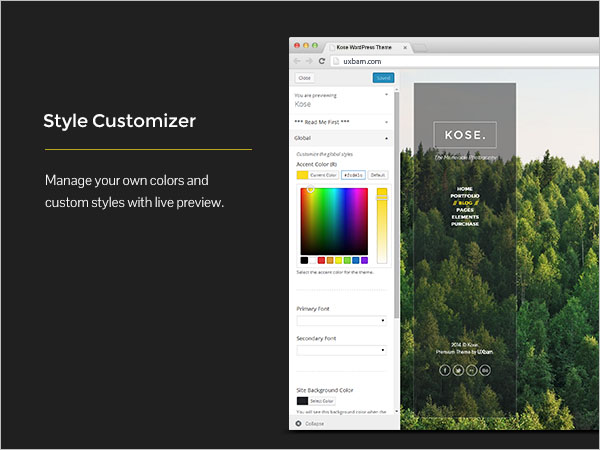 Style Customizer - Manage your own colors and custom styles with live preview.
