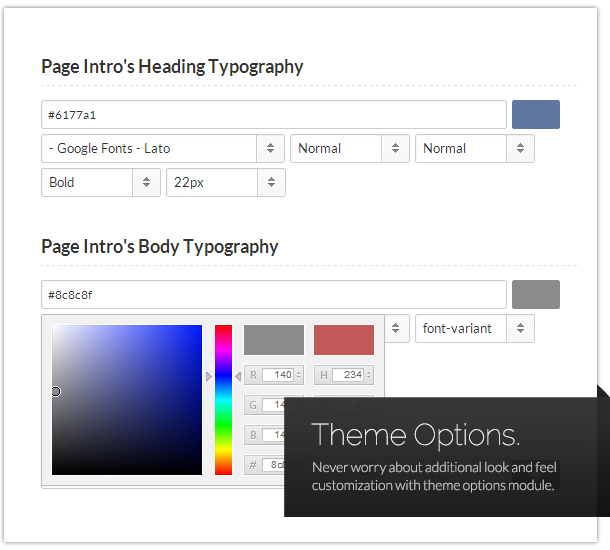 Theme Options – Never worry about additional look and feel customization with our theme options module.